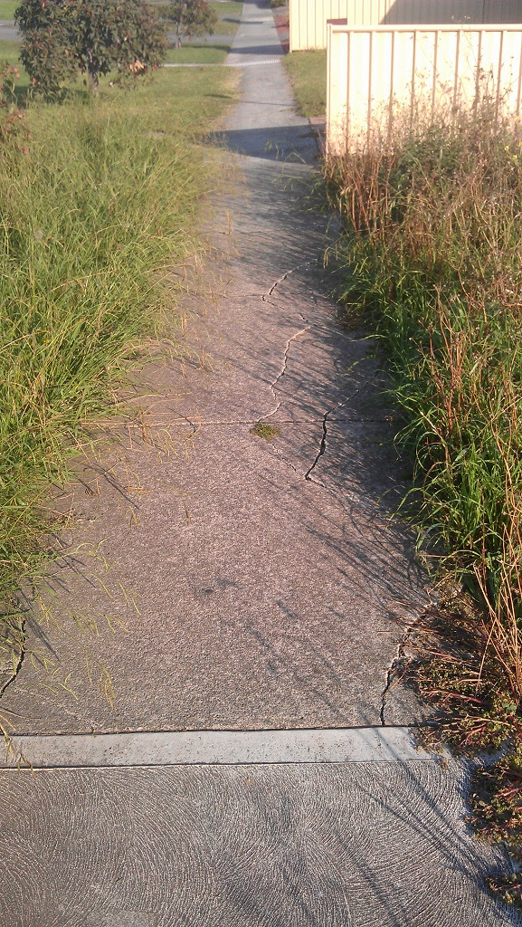 Overgrown-Cracked-Path1.jpg