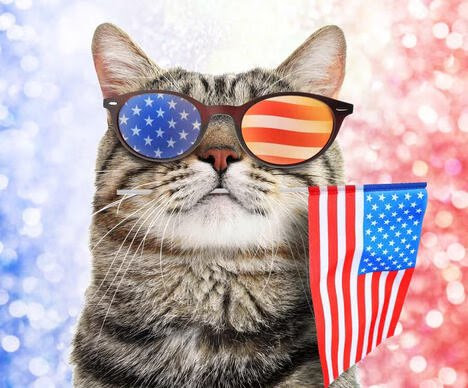 Patriotic-CAT