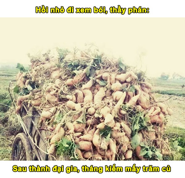 cuoi-roi-ham-voi-loat-anh-ngay-xua-di-xem-boi-4