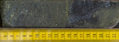 Chalcopyrite and pyrite mineralization from the Ridge Zone Hole #1 (BRDDH19-001). Individual sample assayed 1.04% Cu, 0.17 g/t Au, 4.78 g/t Ag, and 0.24% Zn over 1.85 metre sample. (CNW Group/Crystal Lake Mining Corporation)