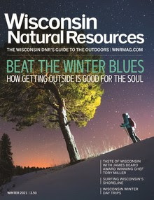 Wisconsin Natural Resources Magazine cover image featuring a woman hiking at night staring up at a large lit up tree.
