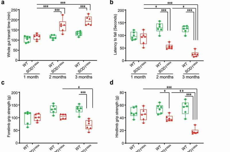 Could there be a link between the enteric neurons, gut microbiome and ALS?