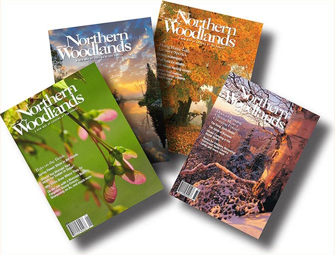 free digital magazines