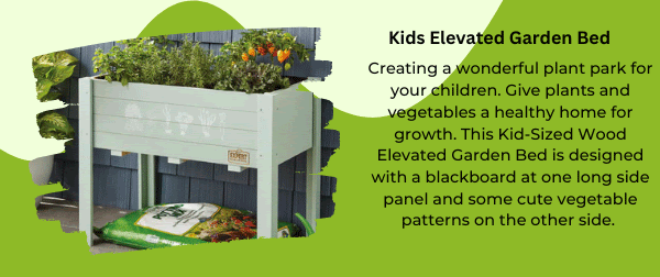 Kids garden bed Kids garden bed