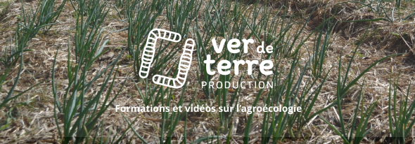 Ver de terre production, formations à l'agroécologie