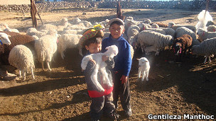 Niños con ovejas