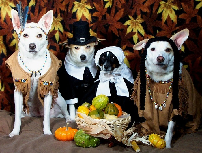 Thanksgiving pilgrim-pets