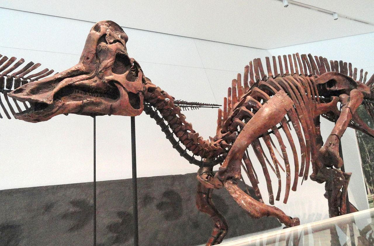 3D Printing (re)Produces 65 Million Year Old Mating Call