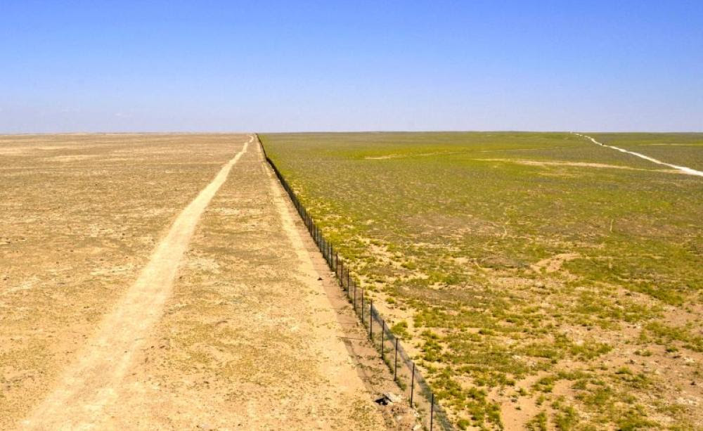 The edge of an experimental sheep grazing exclusion zone (to the right) within Al Talila Reserve, Palmyra, photographed in March 2008 in the midst of an intense drought period. Sheep quasi uncontrolled grazing was allowed to the left of the fence. Grazing