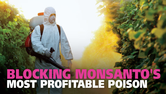 Blocking Monsanto's most profitable poison