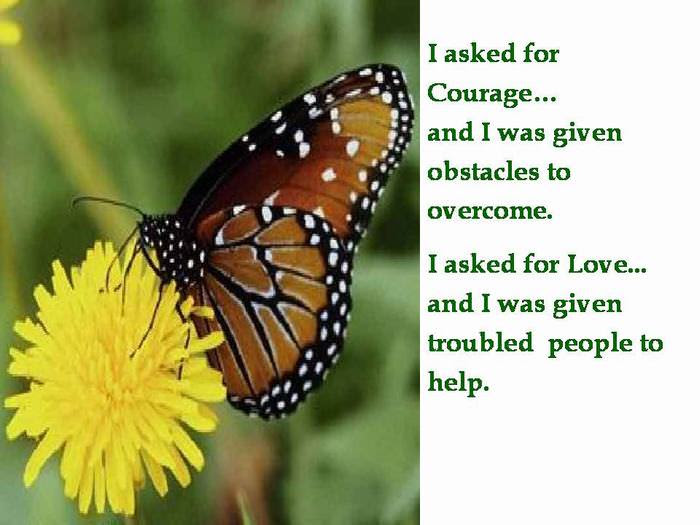 utterfly
inspiring
story