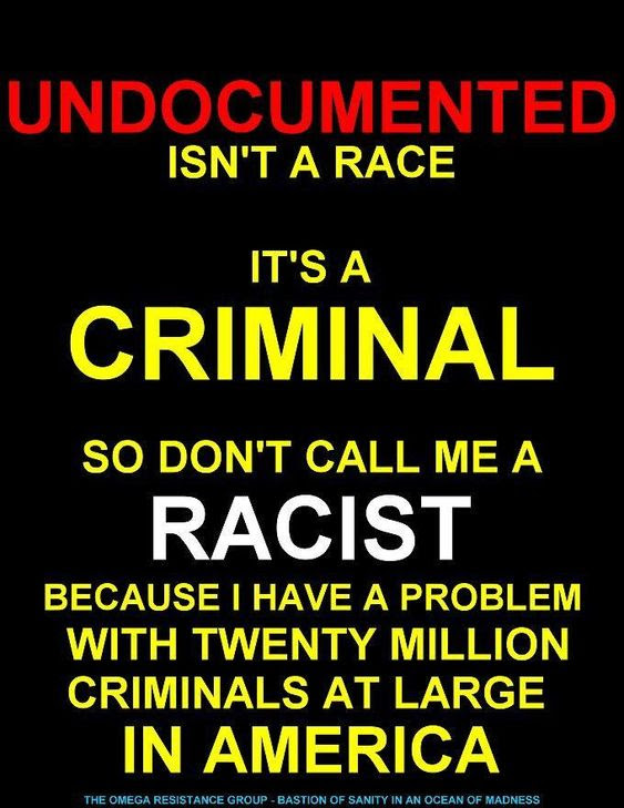 illegal aliens are criminals - they broke into your country - if one broke into your home, same thing, they are criminals - it doesn't matter the *reason*.: