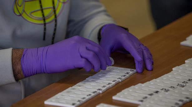 A health worker tests nasal swab samples for COVID-19 inside the Government Polytechnic College campus in Srinagar. 