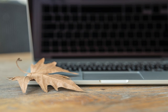 brown maple leaf on a laptop by Engin Akyurt from Pexels