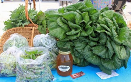 Family Circle Centennial Farm will have chard and kale, herbs and honey among its offerings at the Wednesday Bushel Basket Farmers Market this week.