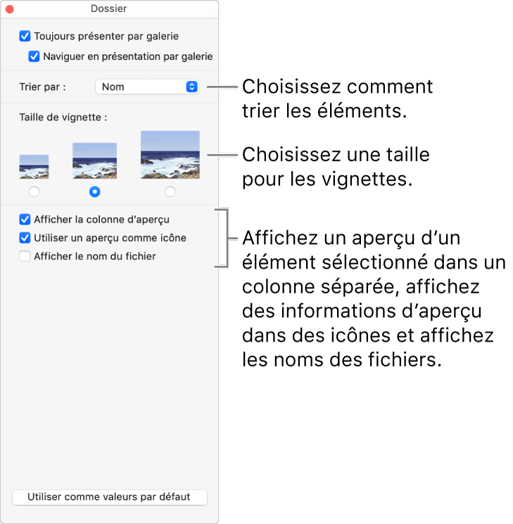 Les options de la présentation par galerie pour un dossier.