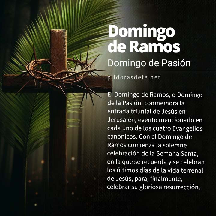 domingo de ramos domingo de pasion celebracion entrada jesus jerusalen