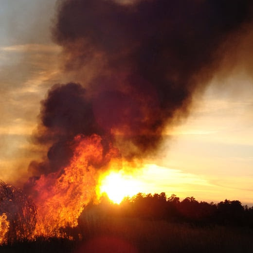 wildfire burning grasslands at sunset