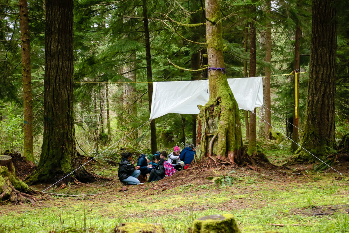 Kids sitting under a tarp in the woods