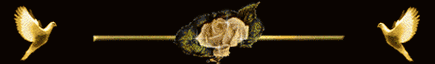 r56GID6MjAxYImHzkxQRVxzpC8aVBk1Rda1tw6a-x_InUPkySHRpaTGrvlGNpz3h.gif