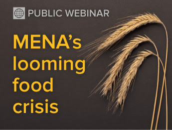 2022-06-MENA-food-crisis-public-thumb (1).jpg