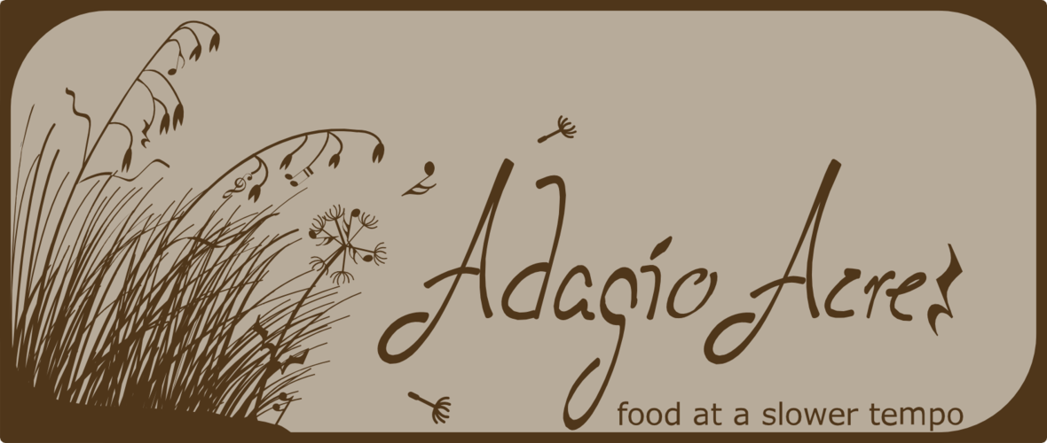 Adagio Logo