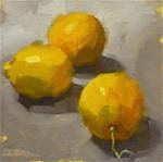 Lemons - Posted on Tuesday, December 9, 2014 by Karen Werner
