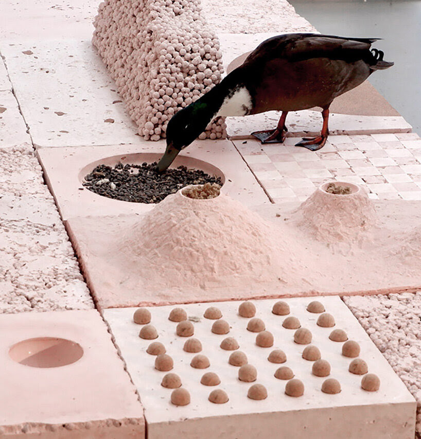 las instalaciones de la bienal de studio ossidiana espacializan la convivencia de humanos + aves
