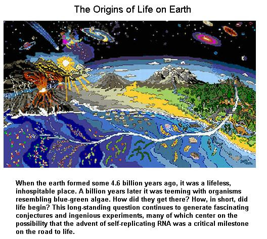 the-origins-of-life