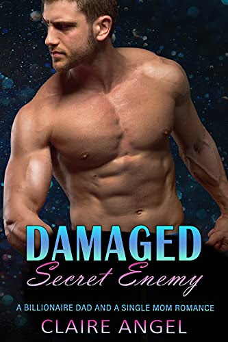 Cover for 'Damaged Secret Enemy'