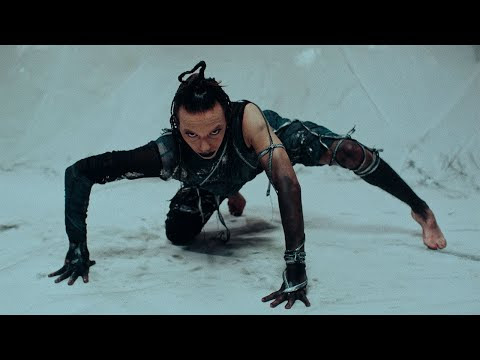 Ver video