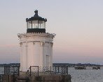 even-smaller-bug-light1