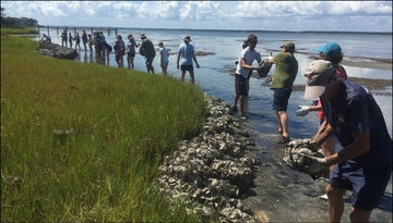 Community-based Habitat Restoration Grants v2
