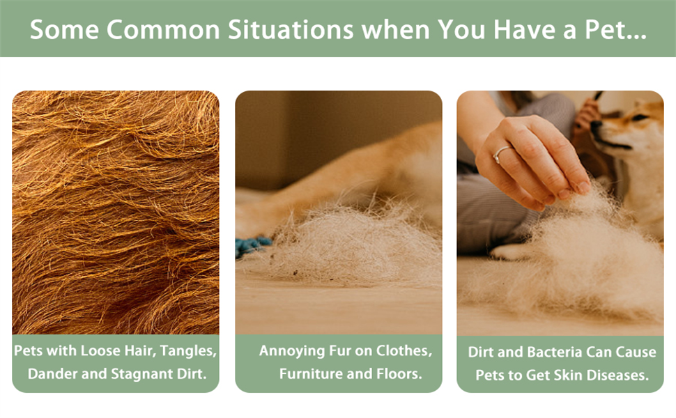 some common situations when you have a pet