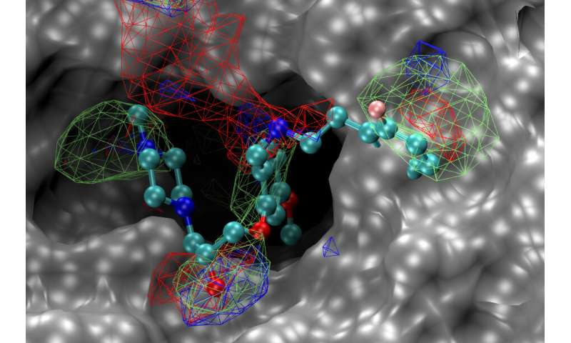 Researchers identify promising new compounds to potentially treat novel coronaviruses