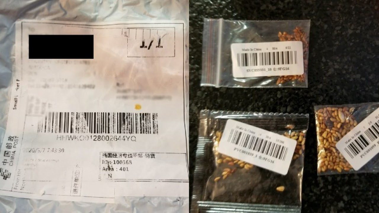 Mysterious packages of seeds that no one ordered are being sent from China ll around the world.