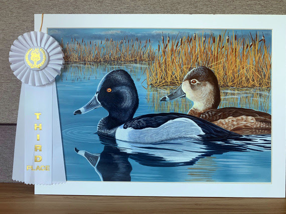 Two ducks in water with reeds in background.