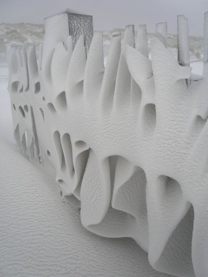 Art Only                                                           Nature Can                                                           Create. My                                                           Fence This                                                           Morning After                                                           A Snowy Night                                                           On                                                           Terschelling,                                                           The                                                           Netherlands