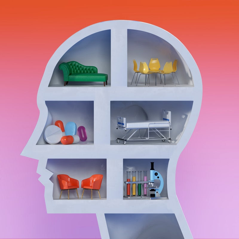Illustration showing a therapist’s office, a hospital room, a scientific lab, and more, all in isolated rooms within the shape of a head.