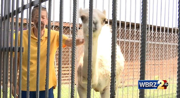 Tiger Truck Stop owner Michael Sandlin, pictured left, has said he hopes to bring in more animals to build a children's petting zoo.