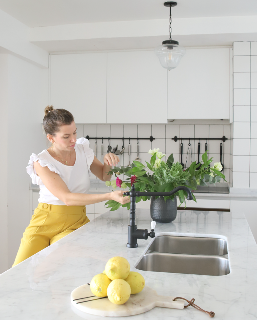 PLANTAS PARA DECORAR