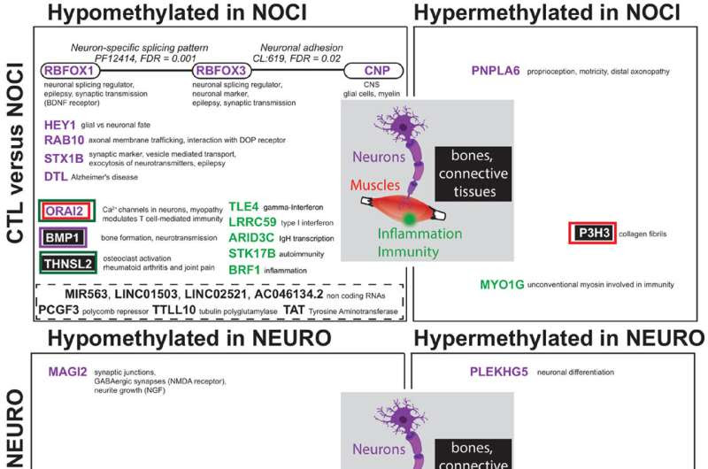 Relieving pain by mapping its biological signatures