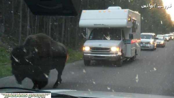 funny pic صور طريفه