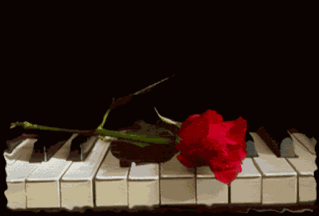 I2WpenCY9kfbP97dosjZXCGdcJWy3tST3P8NZuesSl5ikiZ6zQwuSw==.gif