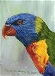 Rainbow Lorikeet ACEO - Posted on Wednesday, December 17, 2014 by Janet Graham