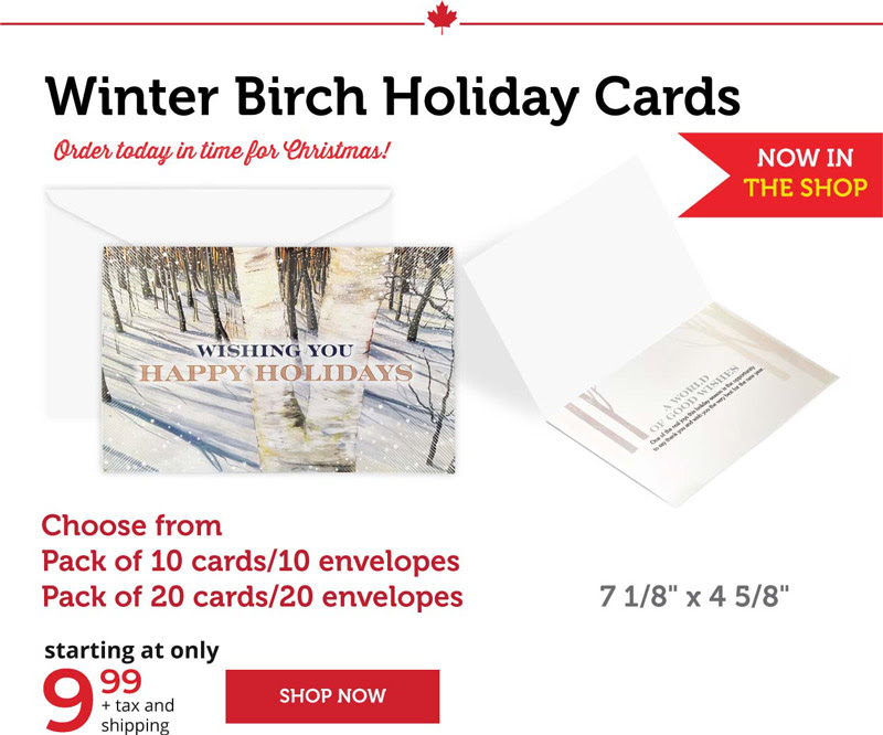 Winter Birch Holiday Cards