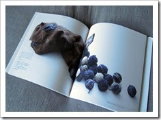 Denimsandjeans.com "Denim Book : Mottainai: The Fabric of Life Lessons in Frugality from Traditional Japan" Denimsandjeans.com "Denim Book : Mottainai: The Fabric of Life Lessons in Frugality from Traditional Japan"
