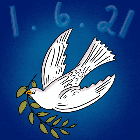 Image of a dove with olive leaves in beak. The phrase "1.6.21. Never Again" are written