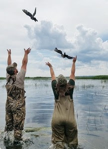 A man and woman, both dressed in waders, standing knee-deep in water, hands raised, releasing banded ducks into the sky