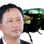 trinhxuanthanh09